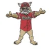 Arizona Diamondbacks Mascot Iron-on Patch