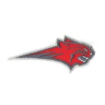 Charlotte Hornets 2004 Alternate Logo Iron-on Patch