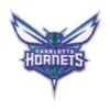 Charlotte Hornets Logo Patch