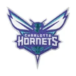 Charlotte Hornets Current Primary Team Logo Patch