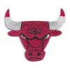 Chicago Bulls Alternate Logo Embroidered Patch