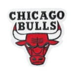 Chicago Bulls Primary Team Logo Iron-on Patch