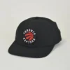 Toronto raptors round logo cap patch
