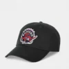 Toronto raptors vintage logo cap patch