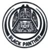 Black Panther Wakanda Entrance Patch