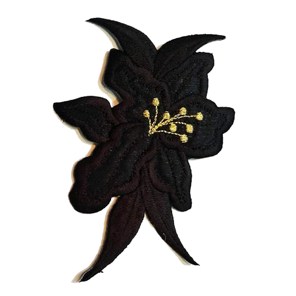 Black Orchid Lily Patch