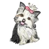Shih Tzu Dog White Patch