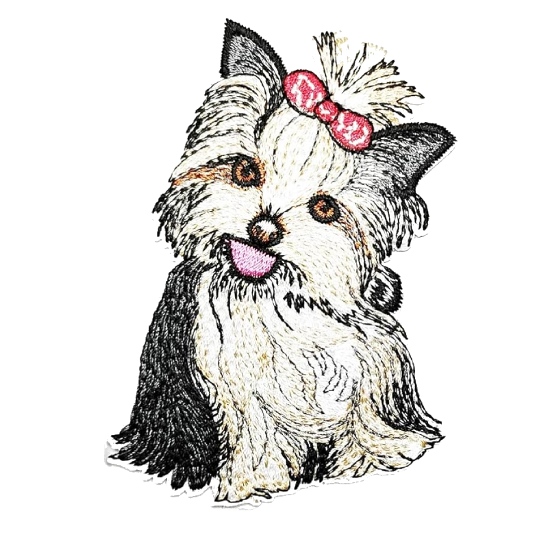 Shih Tzu Dog White Patch