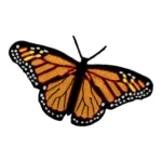Butterfly Monarch Orange Embroidered Patch