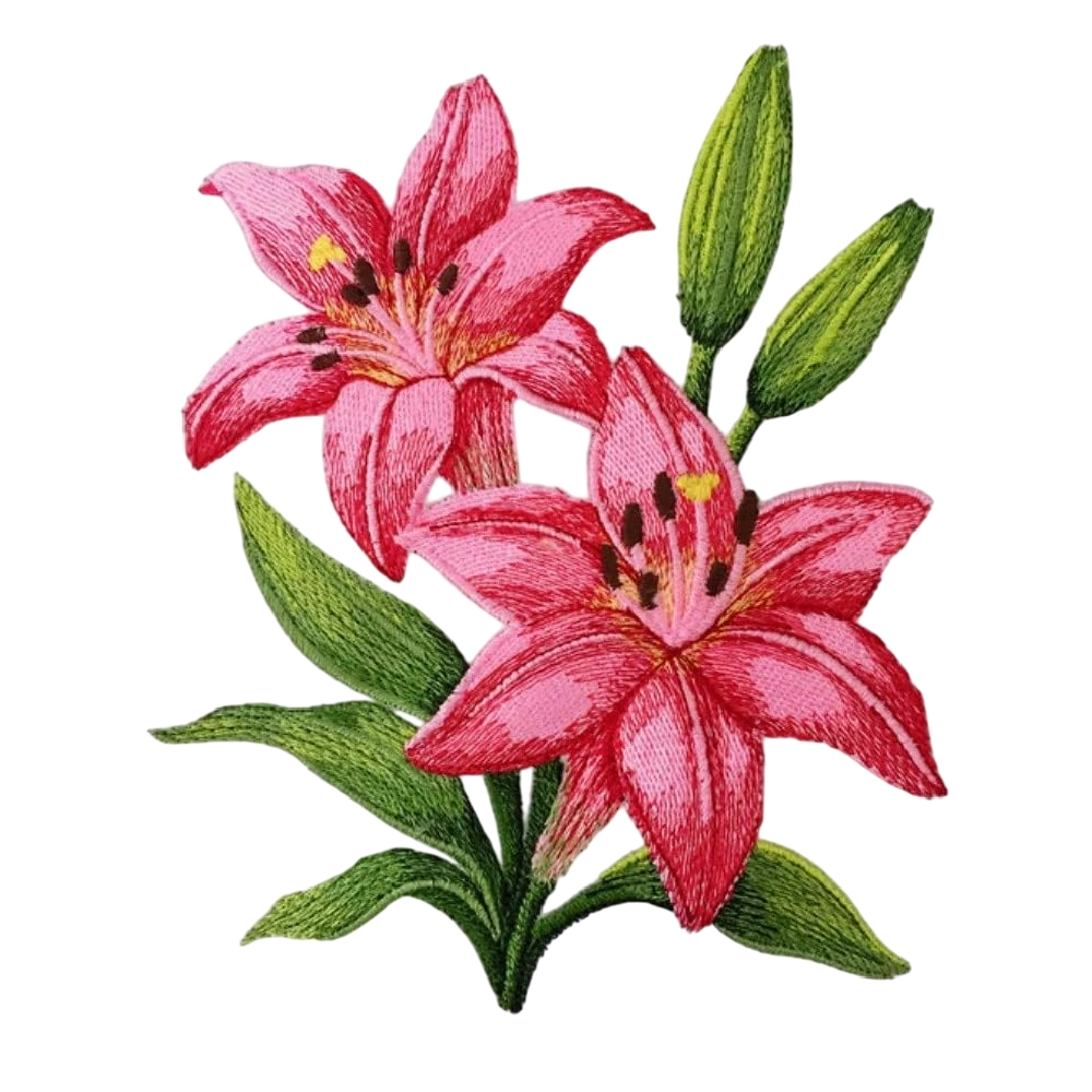 Pink Lily Flower Patch