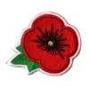 Red Poppy Flower Patch