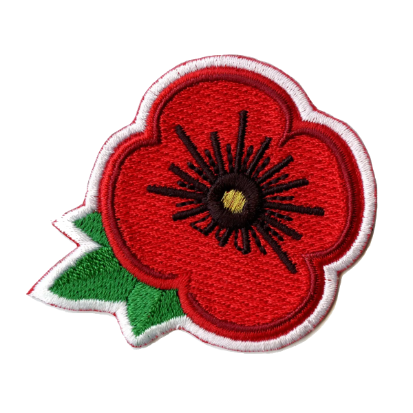 Red Poppy Flower Patch