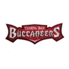 Tampa Bay Buccaneers Wordmark Logo Patch