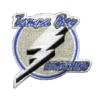 Tampa Bay Lightning Script Logo Patch