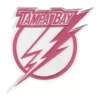 Tampa Bay Lightning 2007-2011 Pink Patch