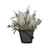 White Daisies in Bucket Patch