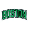 Boston Celtics 3D Team Wordmark Patch