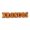 Denver Broncos Orange 3D BRONCOS Text Patch