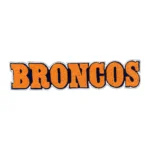 Denver Broncos Orange/Black BRONCOS Text Patch