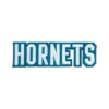 Charlotte Hornets "HORNETS" Wordmark Patch