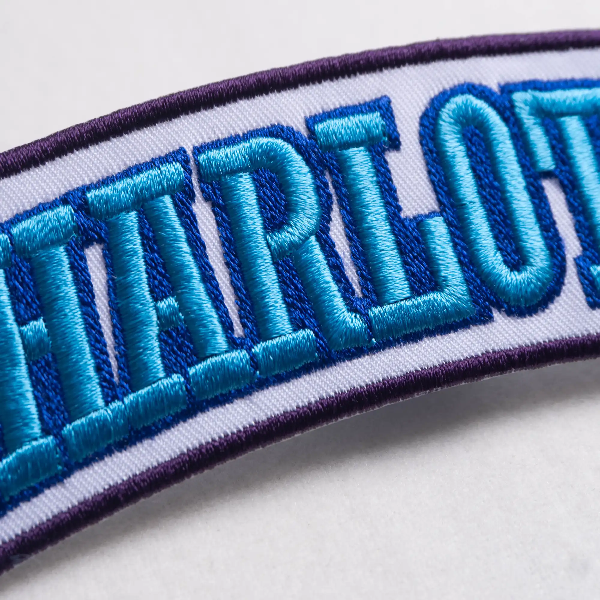 Charlotte Hornets Wordmark Logo Patch