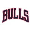 Chicago Bulls "BULLS" Red Outline Arch Patch