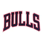 Chicago Bulls "BULLS" Red Outline Arch Patch