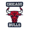 Chicago Bulls Classic Bull Head Logo Patch
