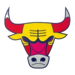 Chicago Bulls Multi-Color Retro Bull Logo Patch