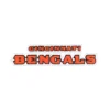 Cincinnati-bengals-wordmark-patch.webp