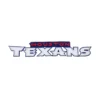 Houston Texans Bold Wordmark Patch