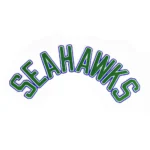 Seattle Seahawks 3D "SEAHAWKS" Embroidered Patch