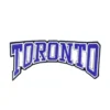 Toronto Maple Leafs 3D Arched Wordmark Patch