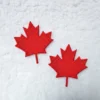Shane Hollander Fleece Jacket Maple Leaf Patch