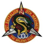 The Walking Dead USMC 1st Battalion 9th Marines Patch